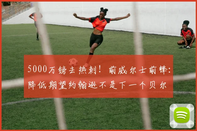 5000万镑去热刺！前威尔士前锋：降低期望约翰逊不是下一个贝尔