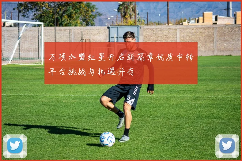 万项加盟红星开启新篇章优质中转平台挑战与机遇并存