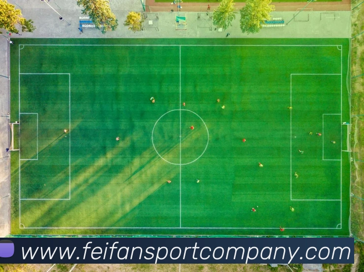 非凡体育发展历程