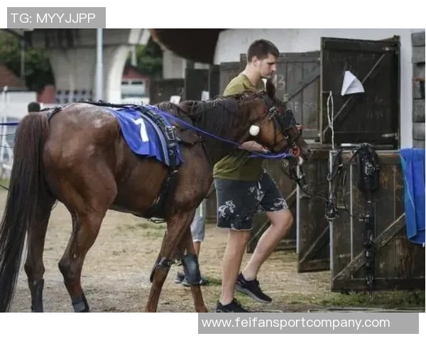 约基奇赞弗拉格表现成熟似老将透露其在重要比赛中的经验与表现