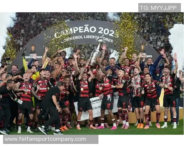 弗拉门戈球迷欢庆夺冠喜悦中奖杯疑似受损引发关注